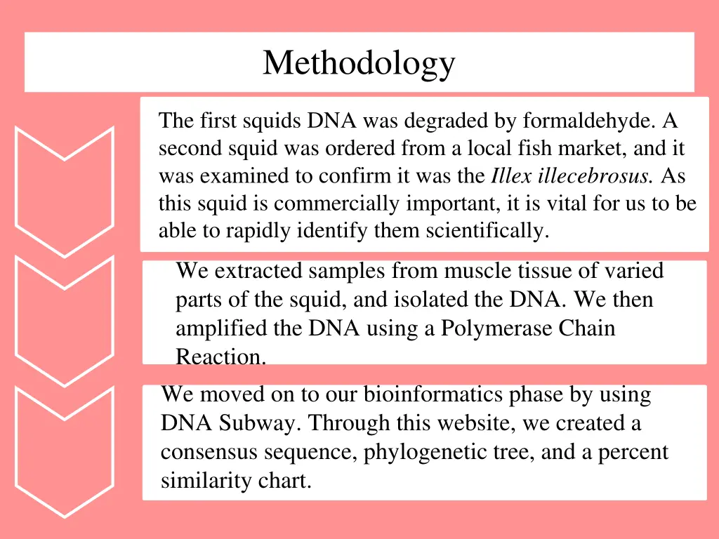 methodology