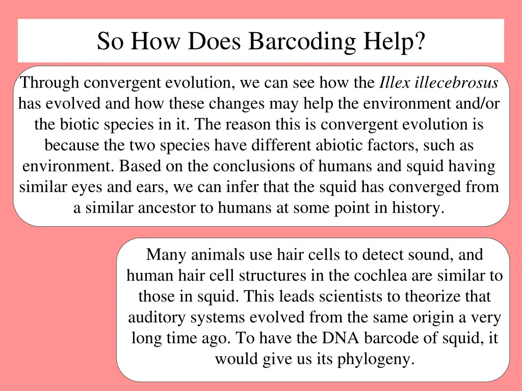 so how does barcoding help