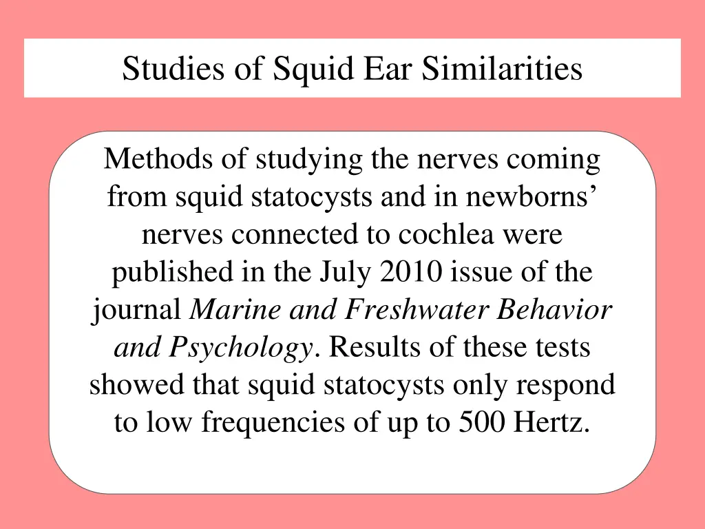 studies of squid ear similarities