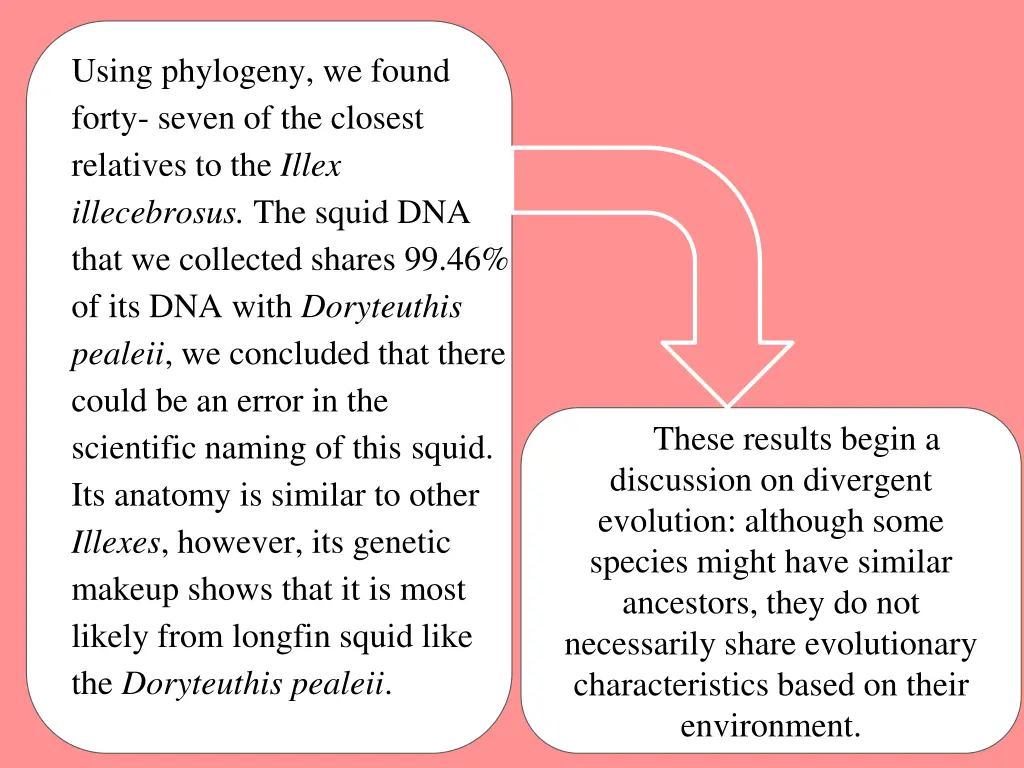 using phylogeny we found forty seven