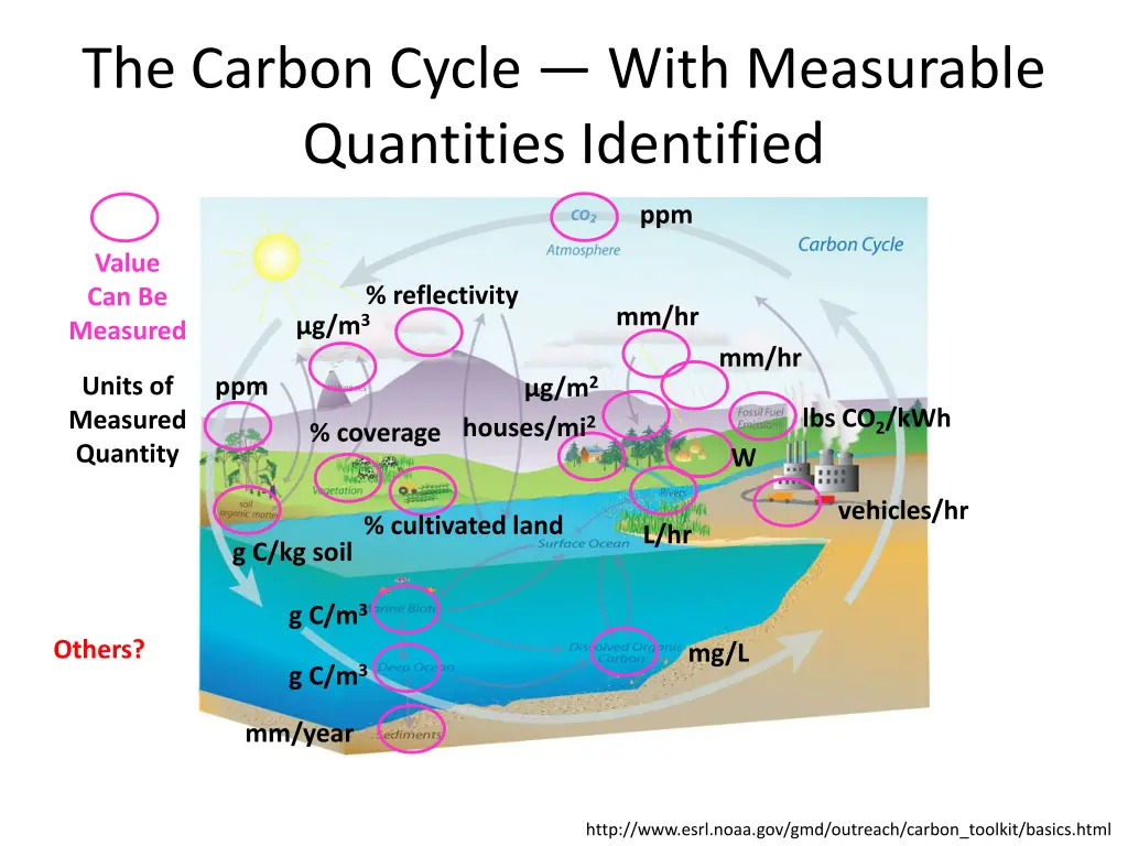 the carbon cycle with measurable quantities