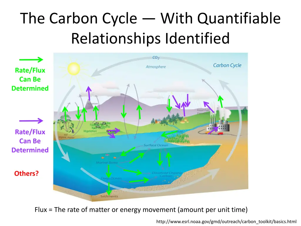 the carbon cycle with quantifiable relationships