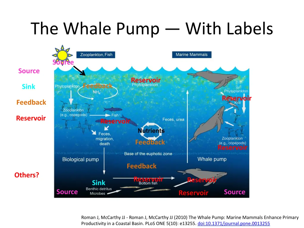 the whale pump with labels