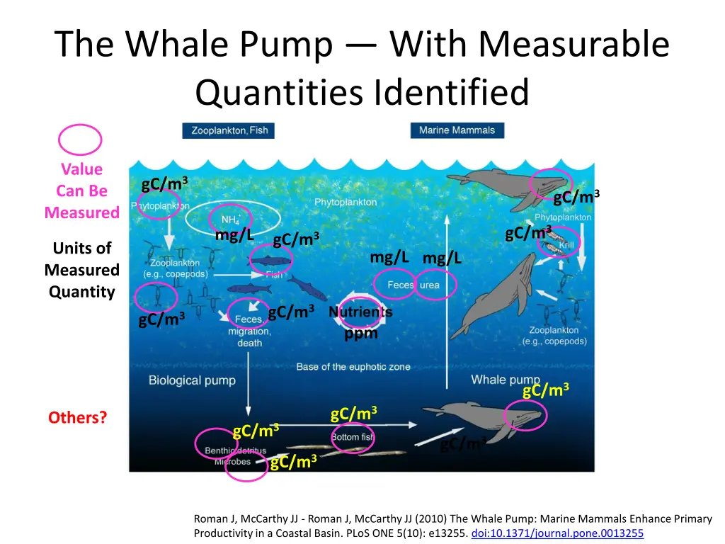 the whale pump with measurable quantities