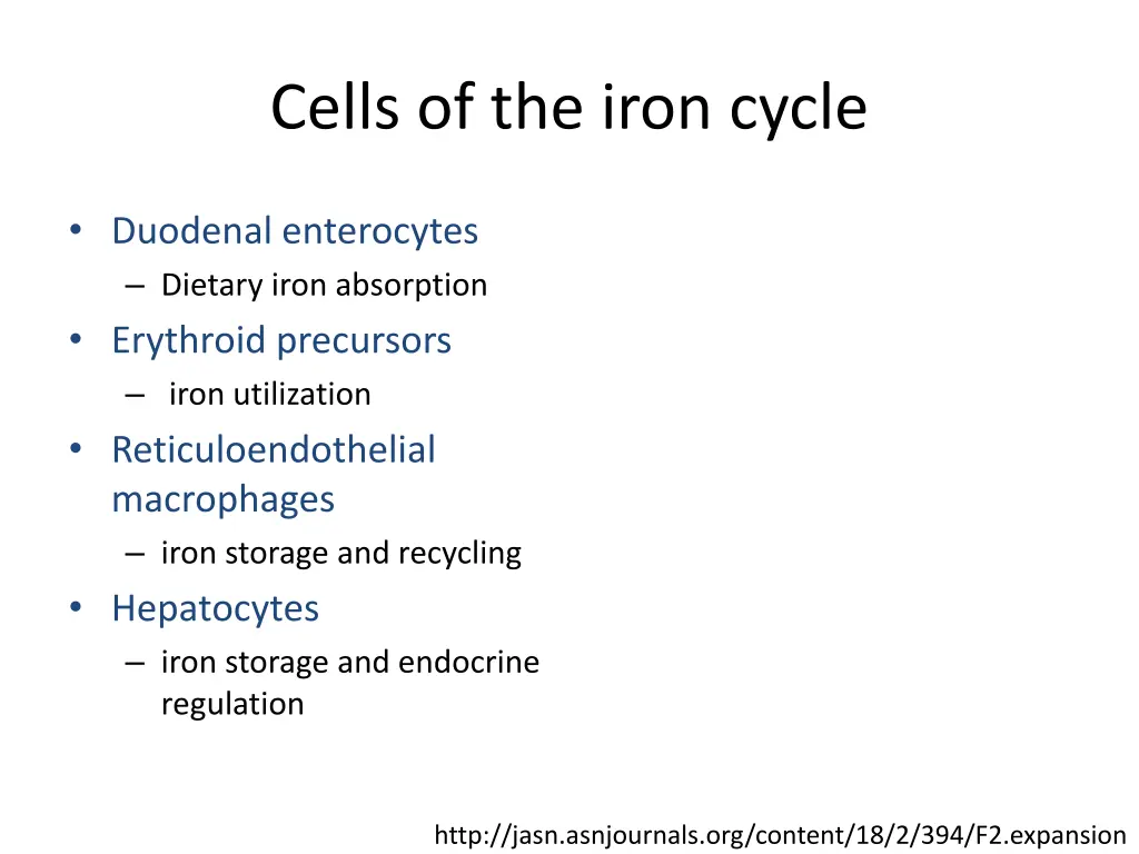 cells of the iron cycle