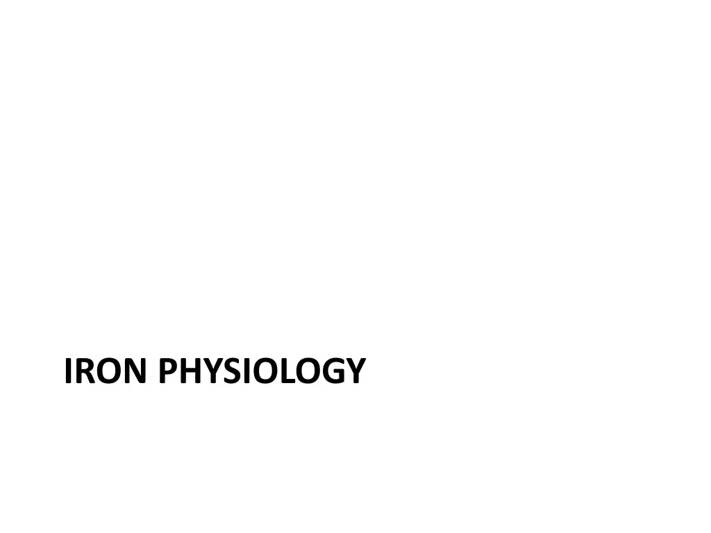 iron physiology