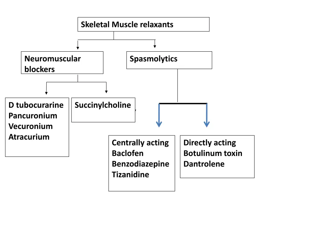 skeletal muscle relaxants 2