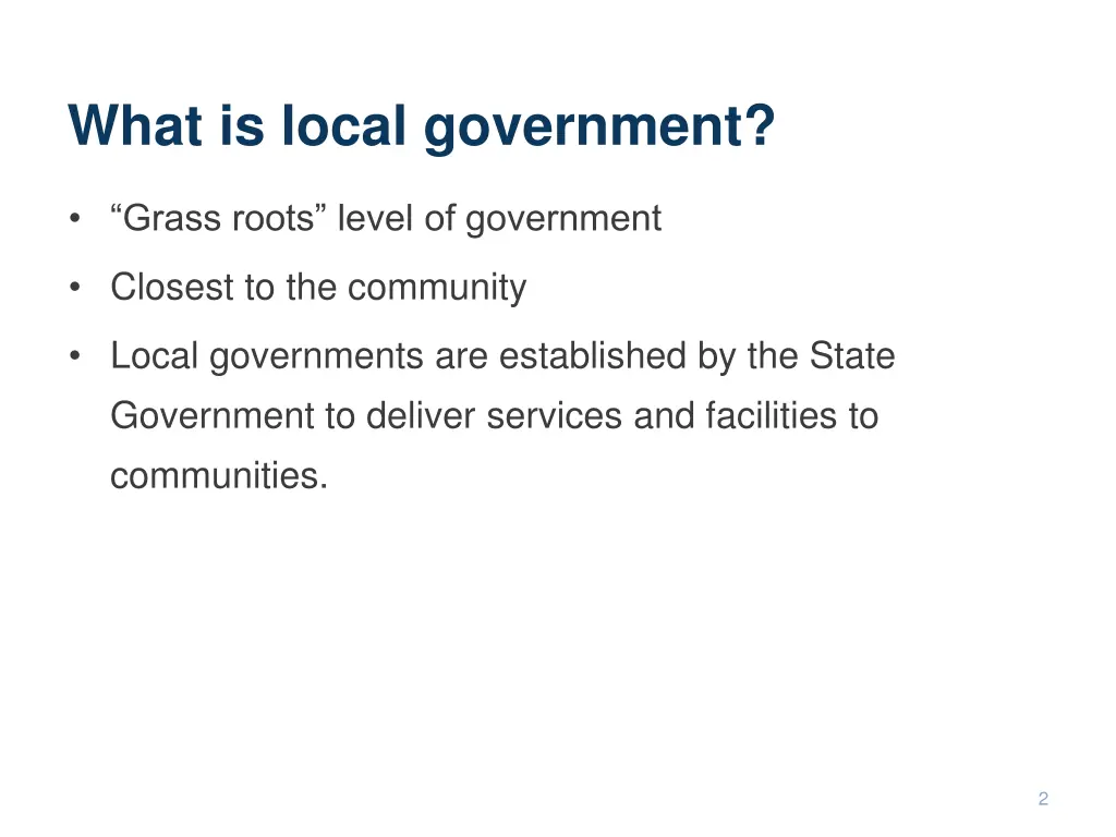 what is local government