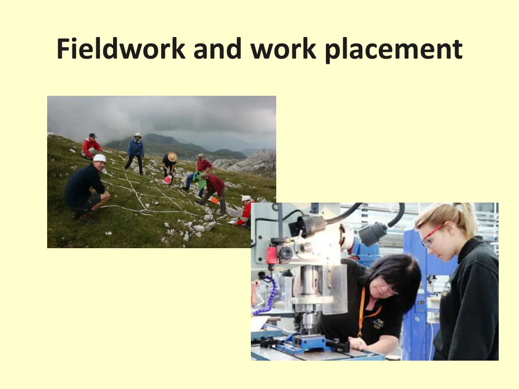 fieldwork and work placement