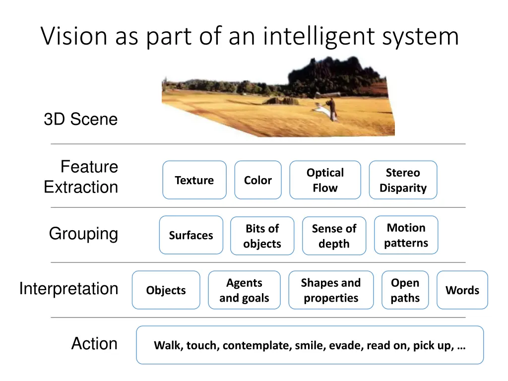 vision as part of an intelligent system