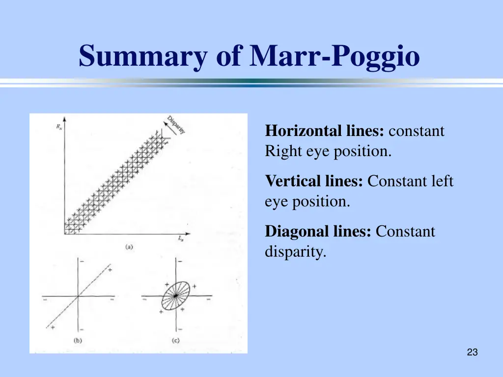 summary of marr poggio