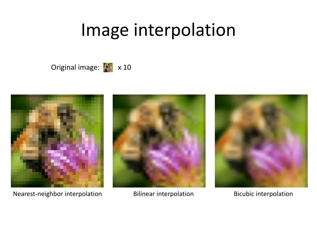 image interpolation 1