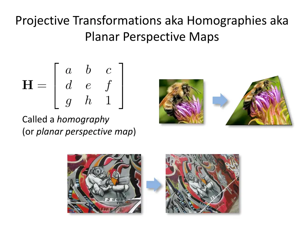 projective transformations aka homographies