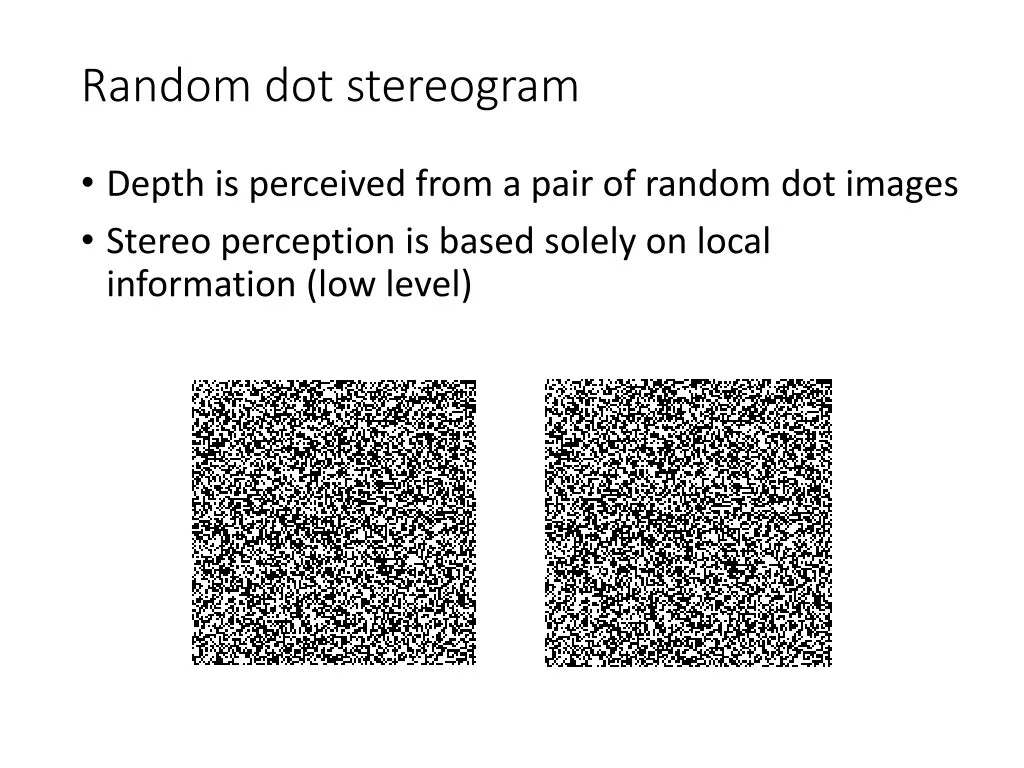 random dot stereogram