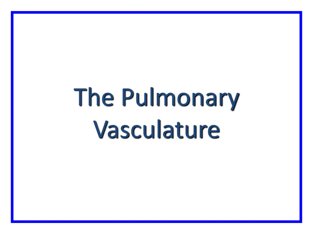 the pulmonary vasculature