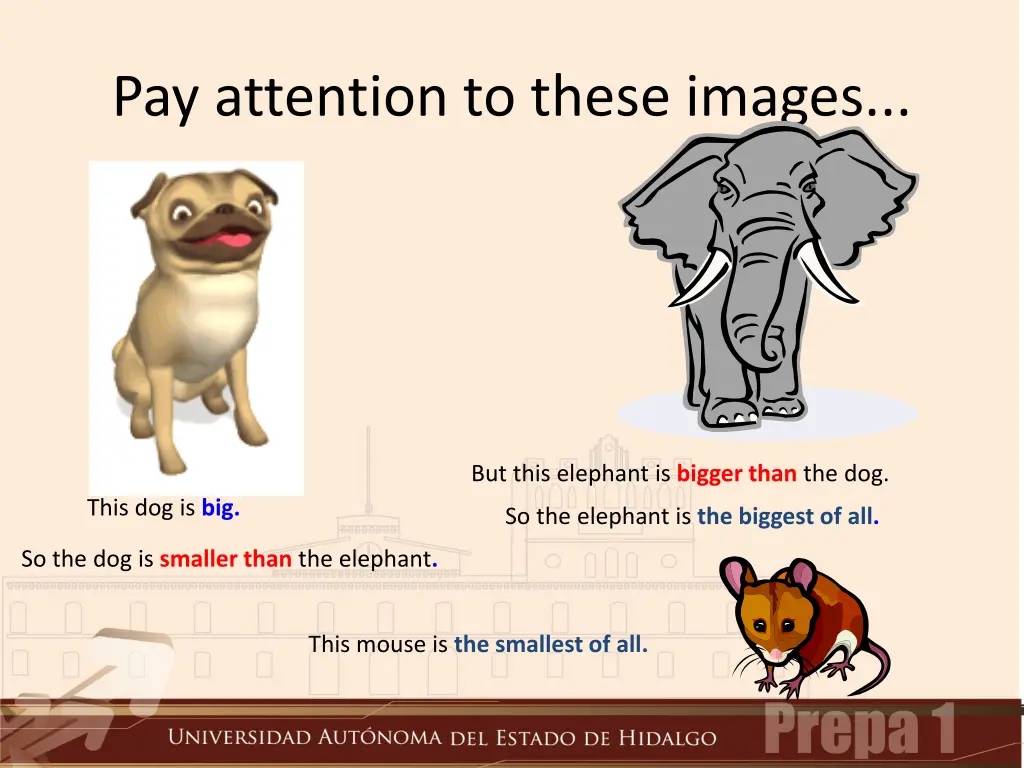 pay attention to these images