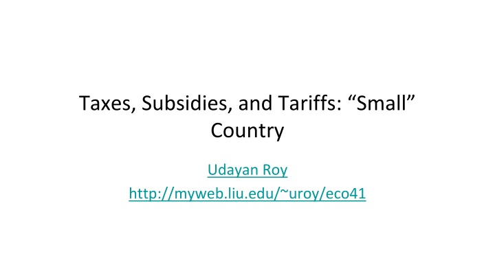 taxes subsidies and tariffs small country