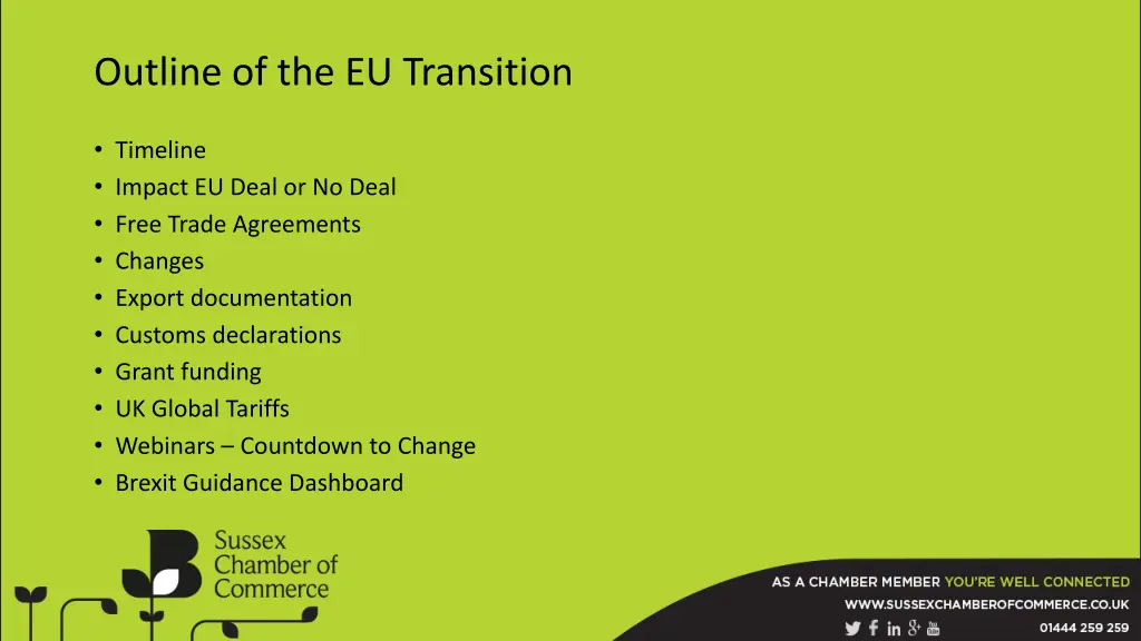 outline of the eu transition