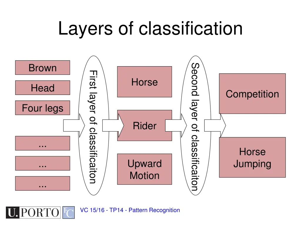 layers of classification