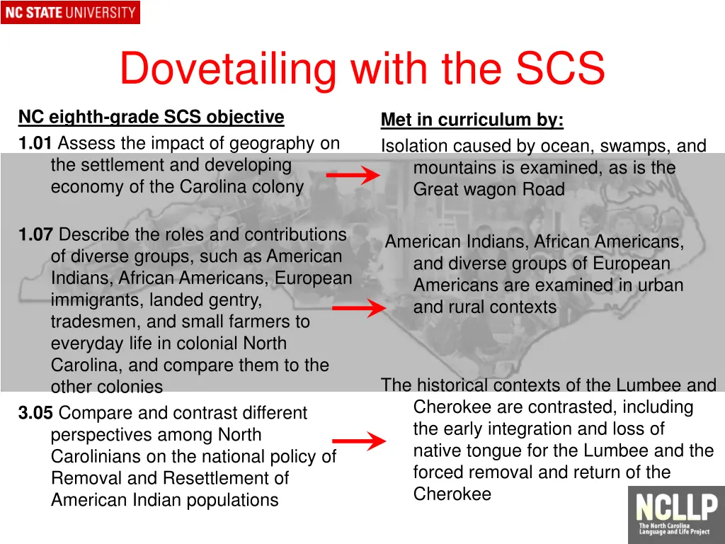 dovetailing with the scs