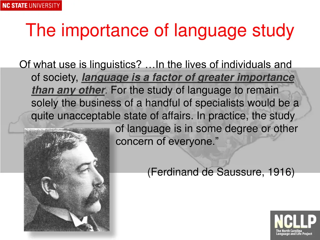 the importance of language study