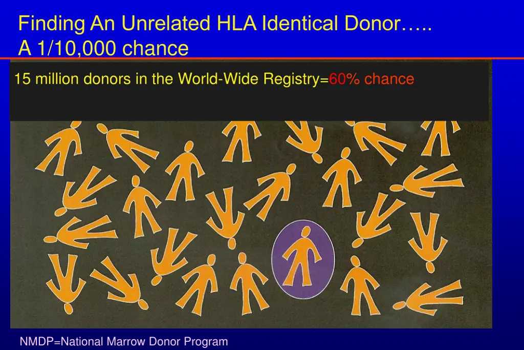 finding an unrelated hla identical donor