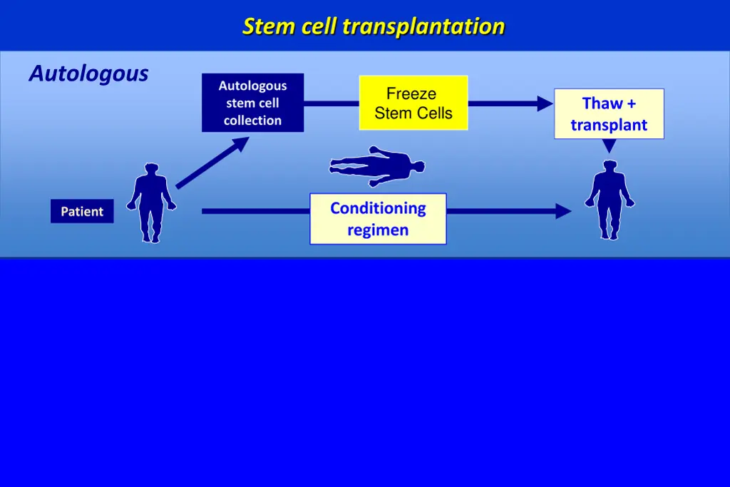 stem cell transplantation