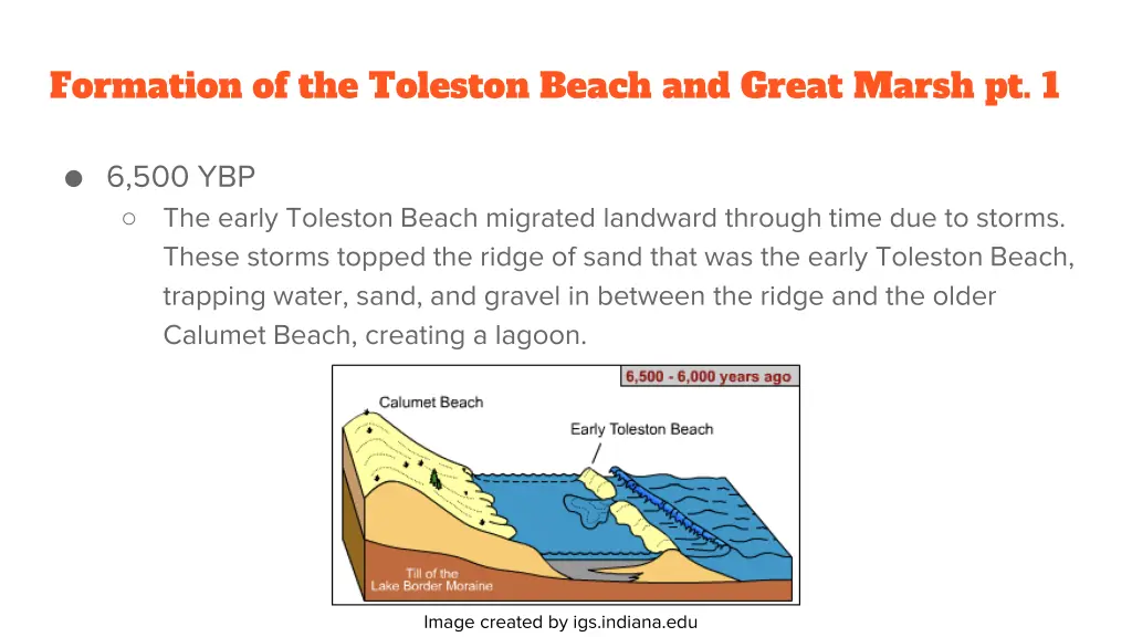 formation of the toleston beach and great marsh