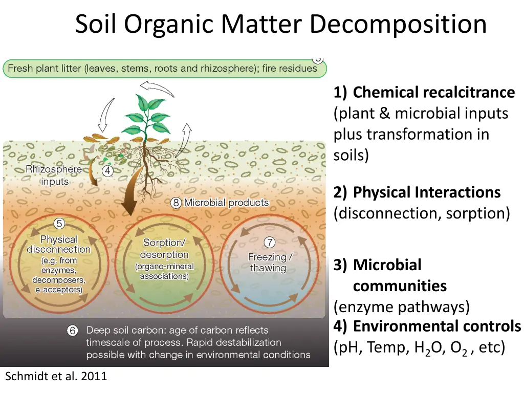 soil organic matter decomposition