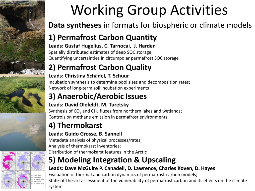 working group activities