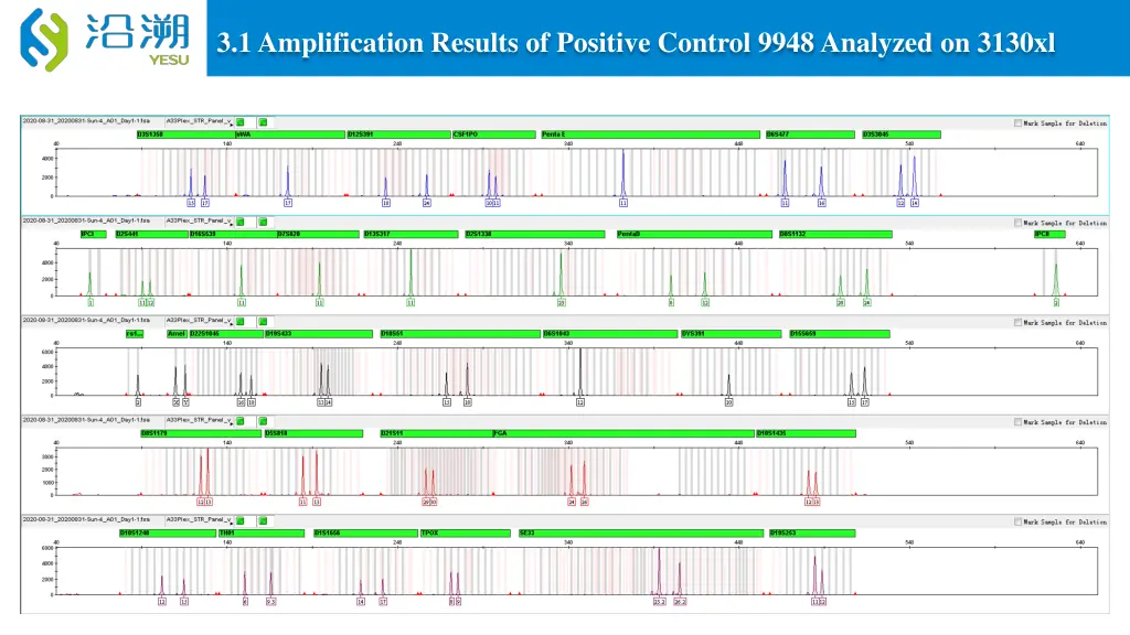 3 1 amplification results of positive control