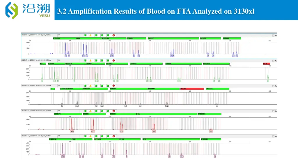 3 2 amplification results of blood