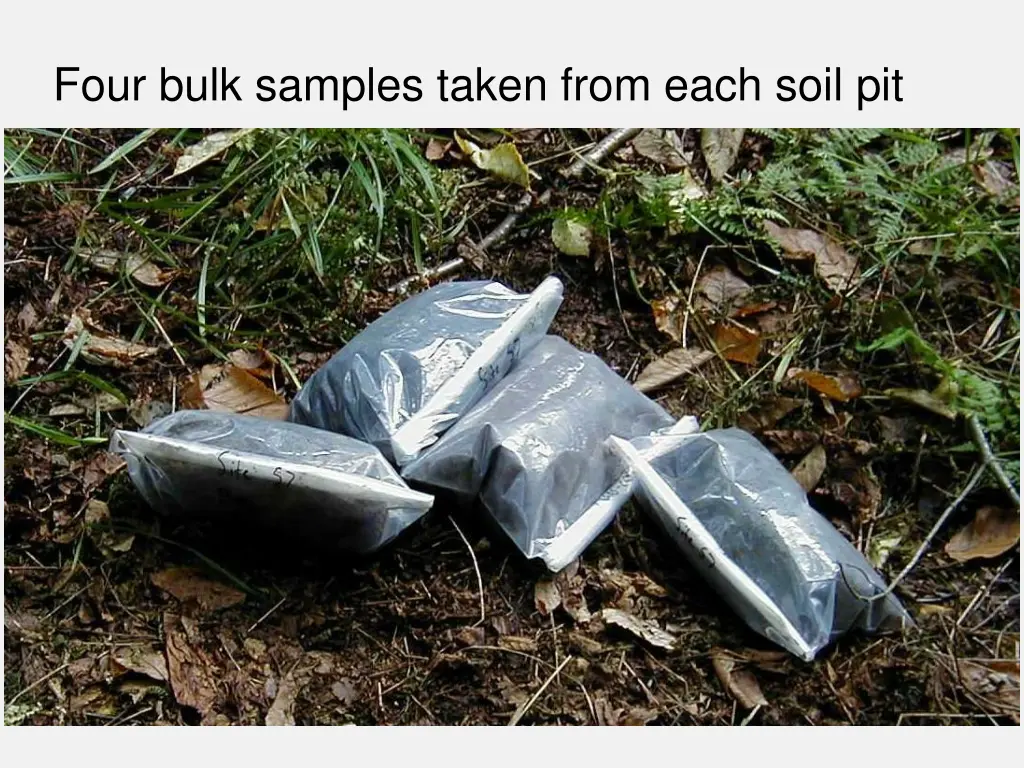 four bulk samples taken from each soil pit