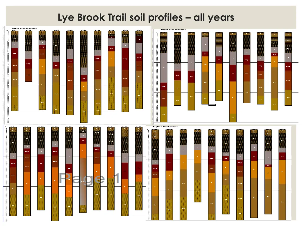 lye brook trail soil profiles all years