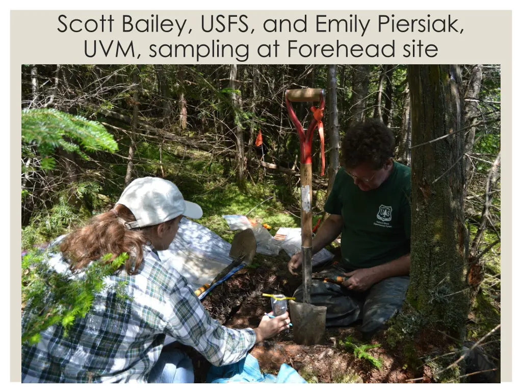 scott bailey usfs and emily piersiak uvm sampling