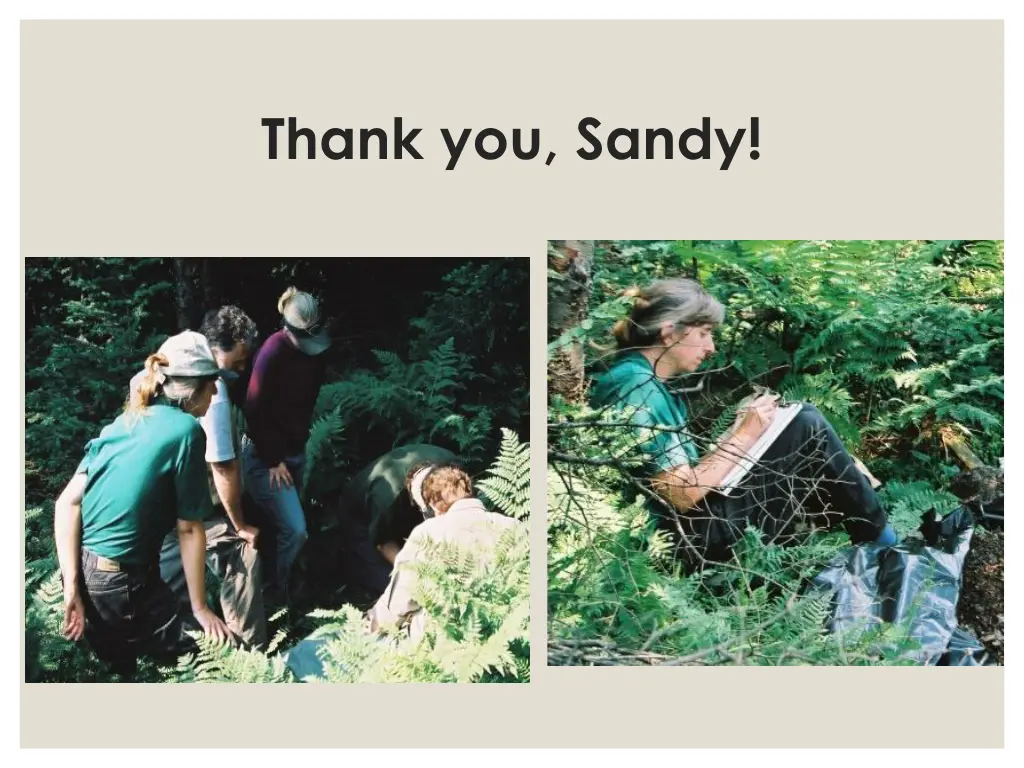 thank you sandy