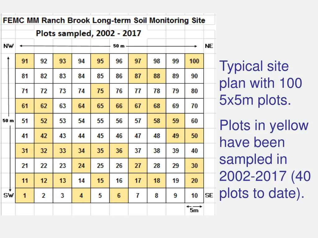 typical site plan with 100 5x5m plots