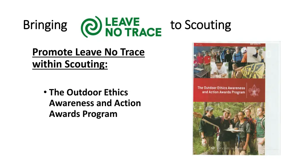 bringing to scouting bringing to scouting 8