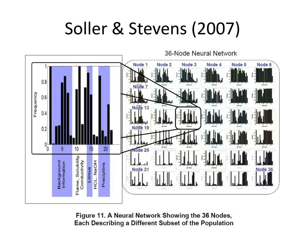 soller stevens 2007