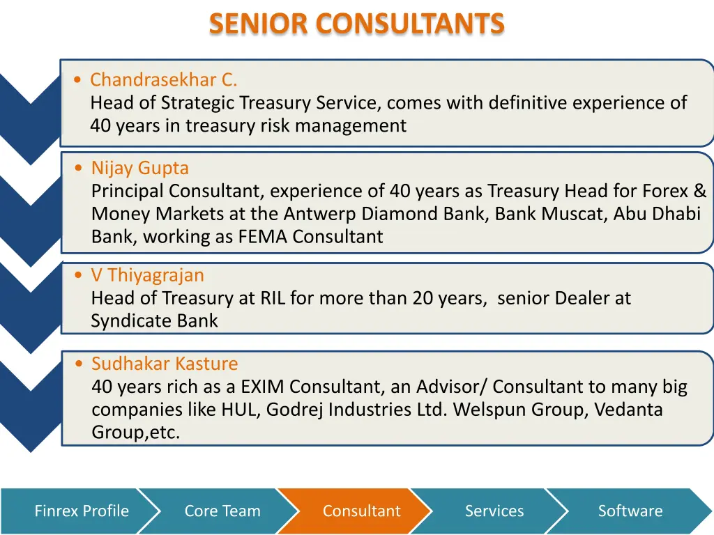 senior consultants