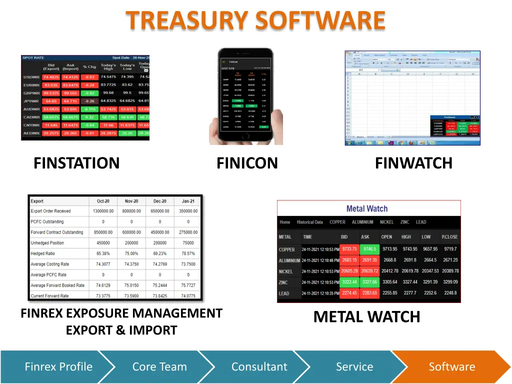 treasury software