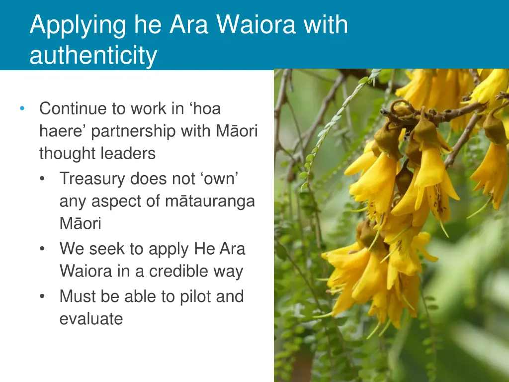 applying he ara waiora with authenticity