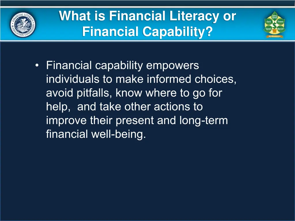 what is financial literacy or financial capability 1