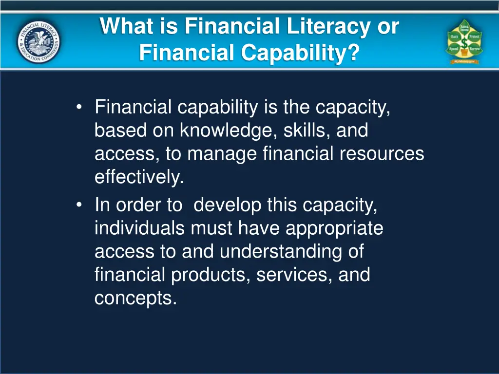 what is financial literacy or financial capability