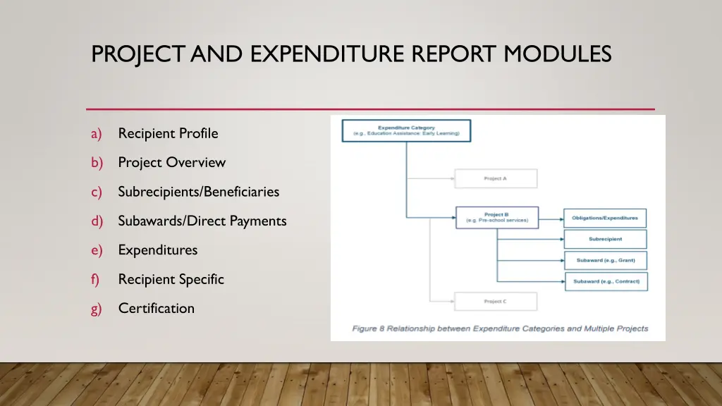 project and expenditure report modules