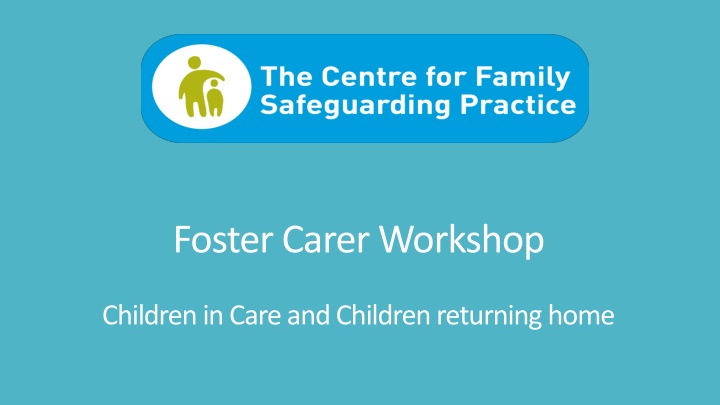 foster carer workshop