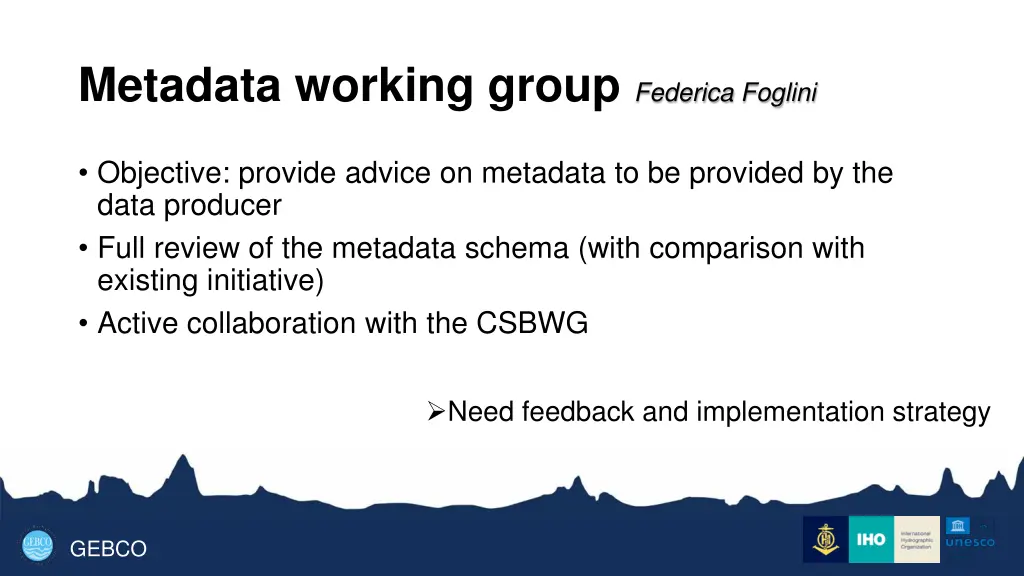 metadata working group federica foglini