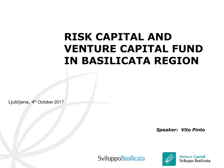 risk capital and venture capital fund