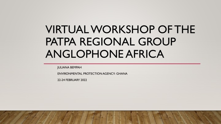 virtual workshop of the patpa regional group