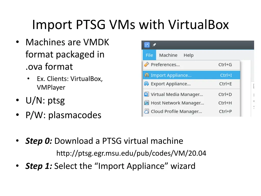 import ptsg vms with virtualbox machines are vmdk